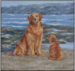 (image for) By The Sea